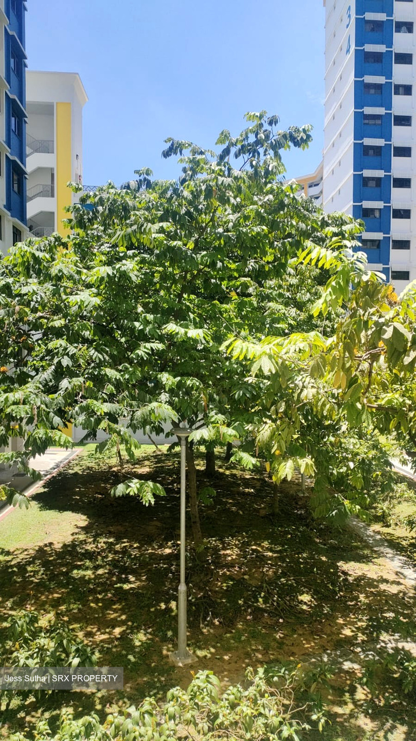 Blk 335 Sembawang Close (Sembawang), HDB 4 Rooms #480625961